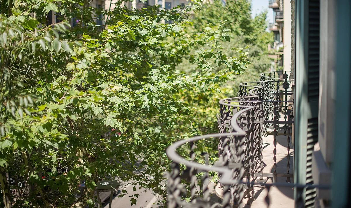 Vista del carrer Casa Verdú des del balcó