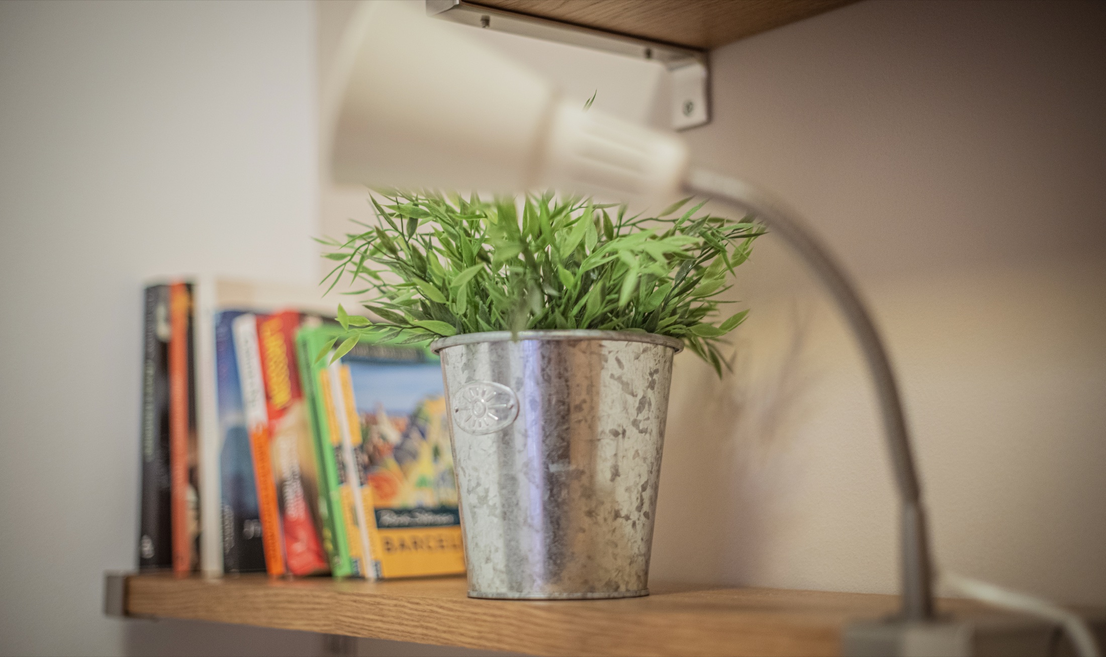 Llibres i vegetació a la biblioteca Suite Bella